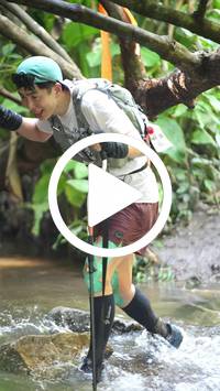 BIB:  <button type="button" onclick="openModal(27824231)" class="btn btn-primary btn-sm float-right" data-toggle="modal" data-target=".modal-high-quality">
                <i class="fa fa-download"></i> Download
                </button>